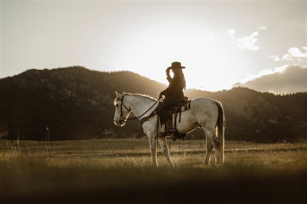 Det bedste hestefoder til din hest