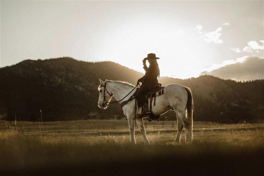 Det bedste hestefoder til din hest